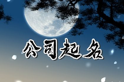 2024龙年网络公司取什么名字好听