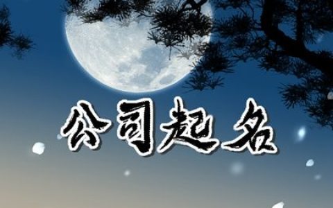 2024龙年有牌面的物流公司名字