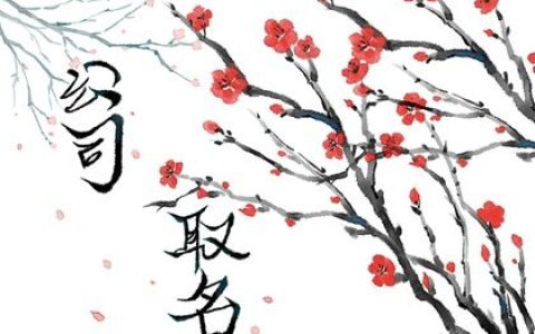 2024龙年有吸引力的金融公司名字