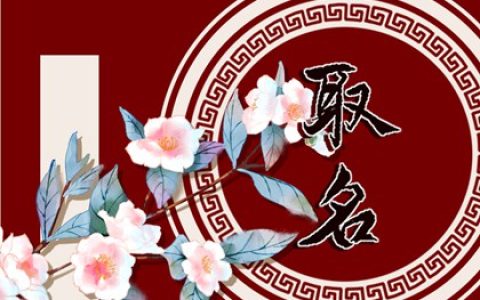 洋气的姓袁男孩名字大全 袁姓男孩起名霸气十足