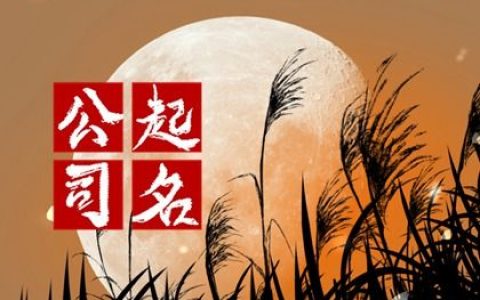 2024龙年专业接地气的音乐公司名字