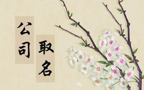 2024龙年建材公司如何取名有牌面