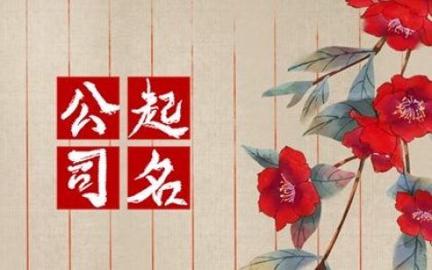 比较大气接地装修公司名字