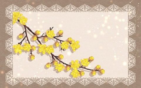 2024龙年有创意的宠物店名字