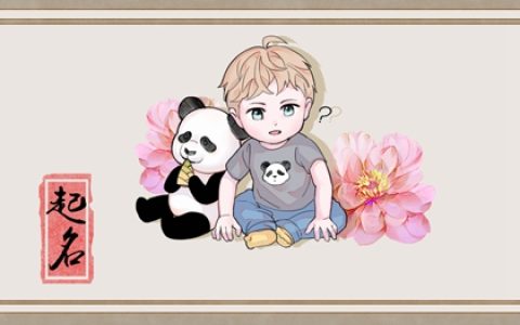 大暑出生的男孩名 必成大器的男孩名字