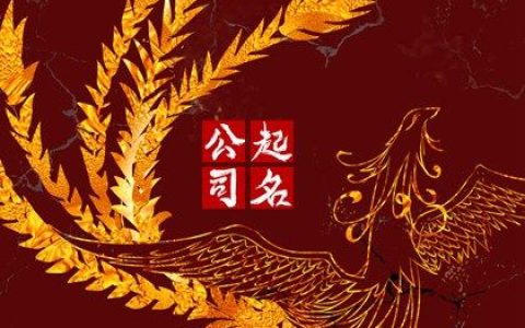 高端有格调的摄影公司名字合集