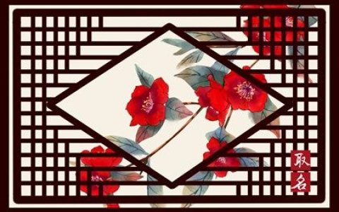 2024龙年窗帘店名字怎么取好听