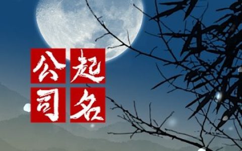 2024龙年有内涵的电脑公司名字