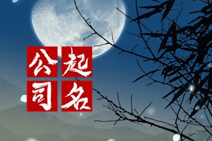 2024龙年有内涵的电脑公司名字