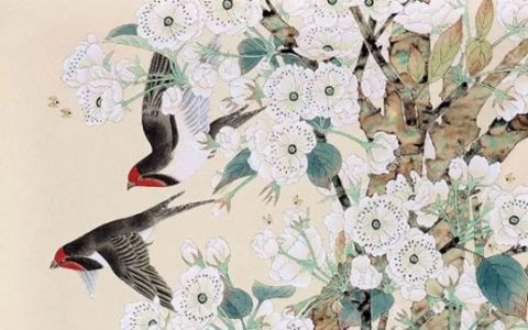 2024年3月3日可以动土吗 是修造动土大吉日吗