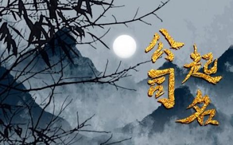 2024龙年电商公司名字起名推荐