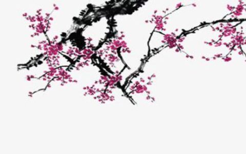 2024年3月1日安入户门好不好 是吉利的安装大门日吗