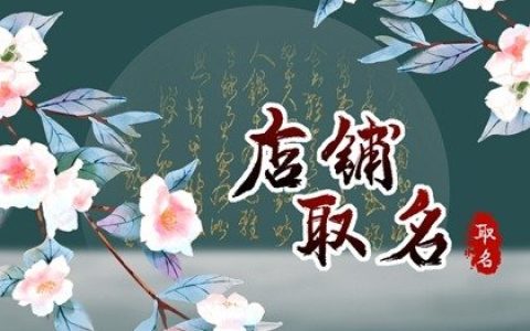 甲辰年开电脑店用什么名字最合适