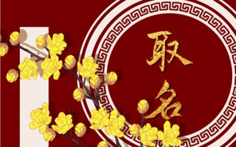 陈姓好听稀少的男孩名字2023 陈姓属兔男孩取名