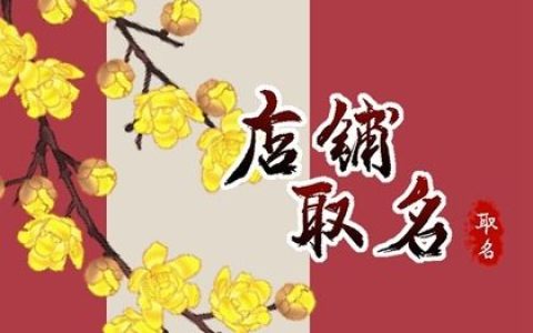 2024甲辰年新颖有趣的店铺名字