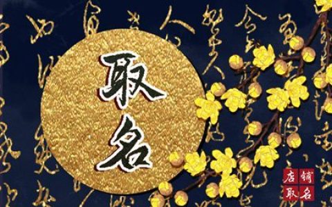 龙年别致独特的饰品店铺名字
