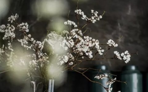 2024年3月18日宜乔迁入新居吗 是最佳入宅吉日吗