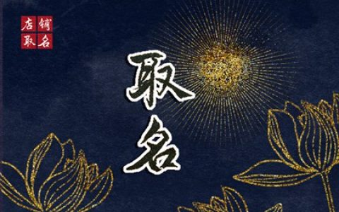 聪明有前程男孩名 独一无二的男孩名字