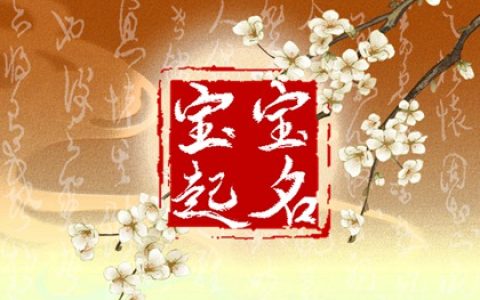 2024属龙寓意好的名字男孩 男孩儿大气阳刚的名字