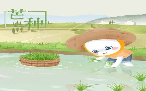 2024年6月5日是什么节气 2024年6月5日是芒种节气