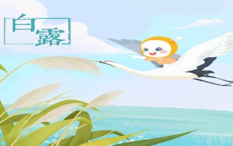 2024年9月7日是什么节气 2024年9月7日是白露节气