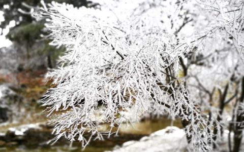 2024大寒是哪一天的什么时候 2024年大寒时间几点几分几秒