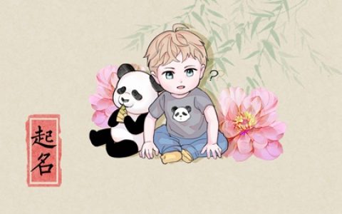 宝宝起名 属龙男孩起名吉祥名字