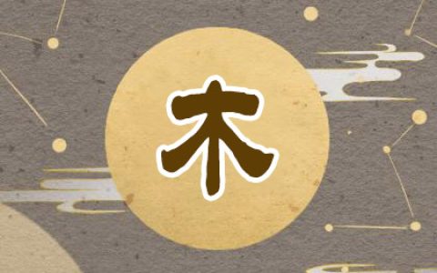 五行缺木女孩名简单大气