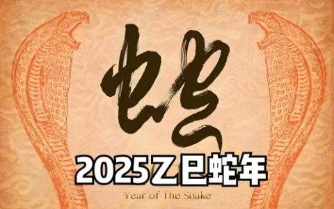 2025蛇年出生取名最佳的字