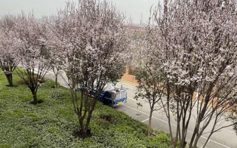 2024年躲春是早上还是晚上 2024立春躲春正确方法
