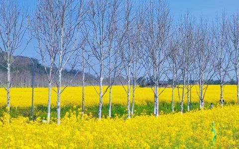 2024年躲春时间 2024立春哪些属相要躲春