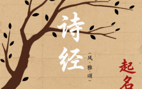 诗经楚辞起名女孩推荐