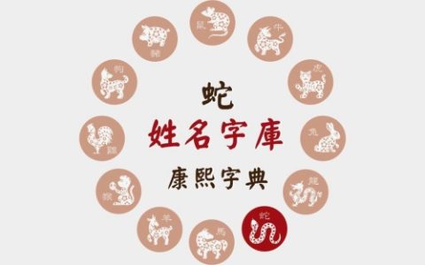 2025年属蛇女孩名字最佳用字