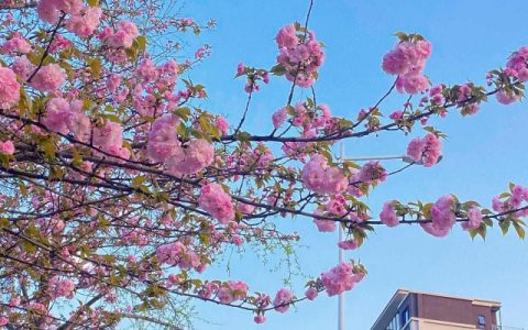 2024年躲春的具体时辰 2024立春躲春的禁忌