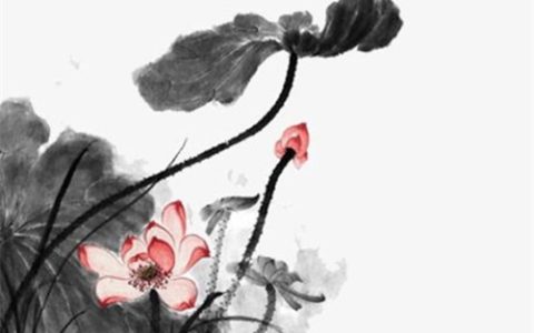 黄历2023年12月黄道吉日动土 最好的动土日子