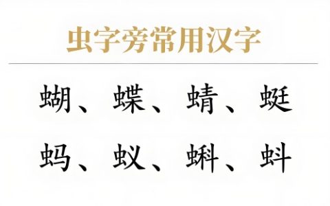 虫字旁的字有哪些