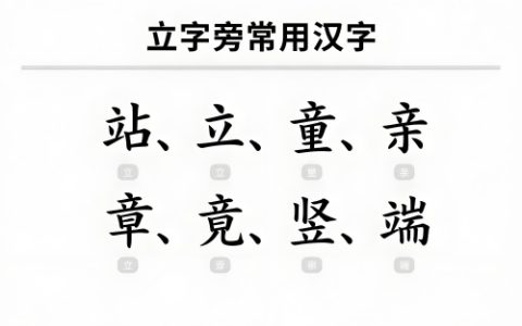 立字旁的字有哪些