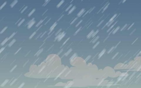 2024年雨水是几月几号 2024年雨水是2月19号