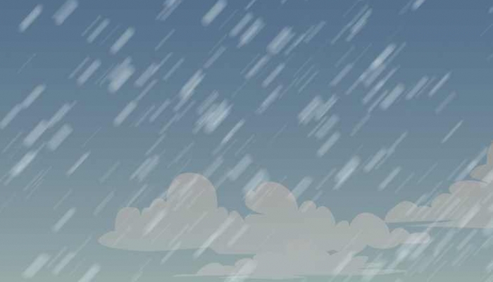 2024年雨水是几月几号 2024年雨水是2月19号