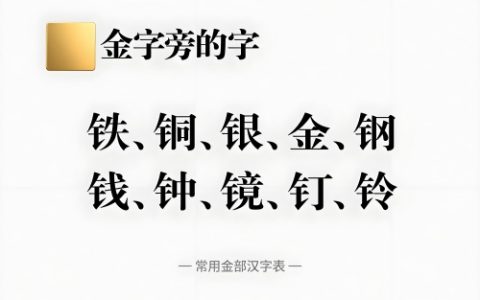 金字旁的字有哪些
