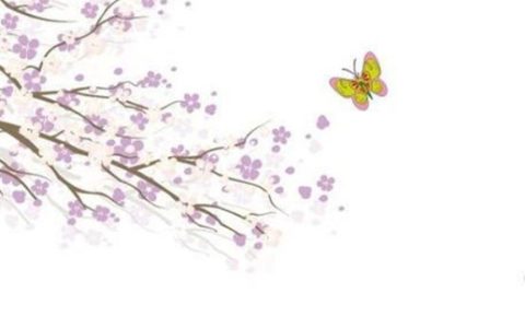 2024年4月5日动土最吉利吗 是动土的最佳吉日期吗