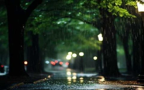 2024年雨水是什么时候 2024雨水节气怎么计算