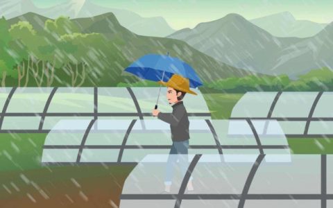 2024年雨水时间: 2024年雨水是哪一天