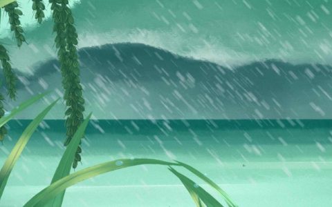 2024年雨水节气是几点 2024年雨水节气时间表