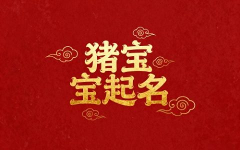 属猪最旺的名字大全