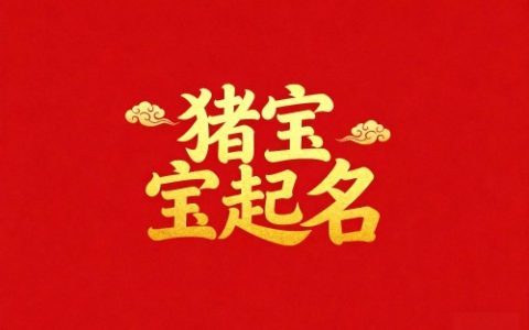 属猪男孩子取名字大全