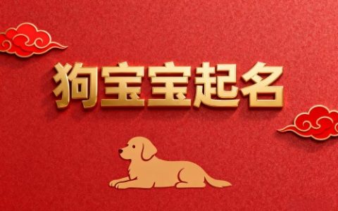 属狗女孩高雅有涵养的名字