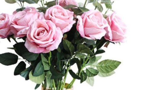 2024年4月10日黄历日子好吗 可以订婚吗