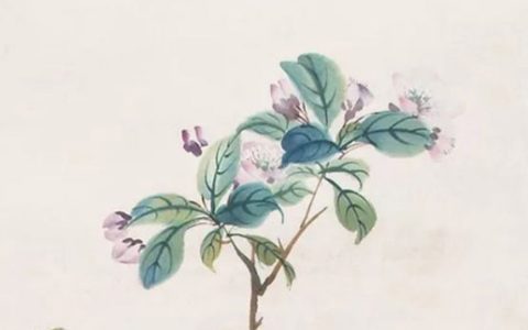 2024年4月12日是出行黄道吉日吗 这天出门吉不吉利
