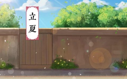 2024年立夏是暑伏吗 2024年立夏入伏了吗